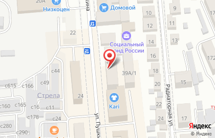 Агентство недвижимости Альянс на улице Пушкина на карте