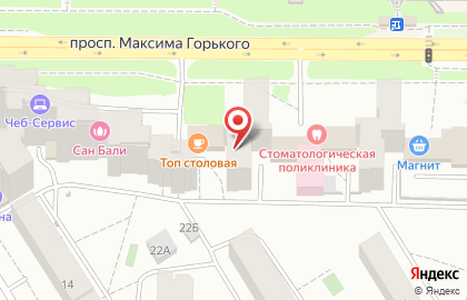 Больница скорой медицинской помощи на проспекте Максима Горького на карте