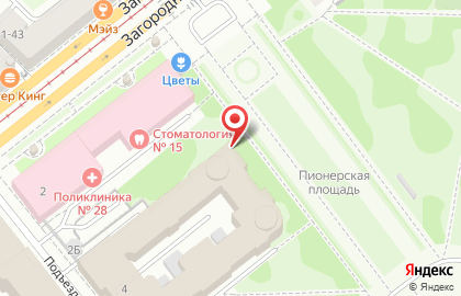 Детский театр танца Незабудки на метро Пушкинская на карте
