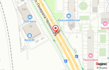 Новости 39 на улице Генерала Челнокова на карте