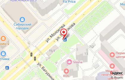 Зооветцентр Кошкин дом в Советском районе на карте