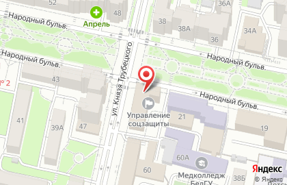 Городская детская поликлиника №2 на улице Князя Трубецкого на карте