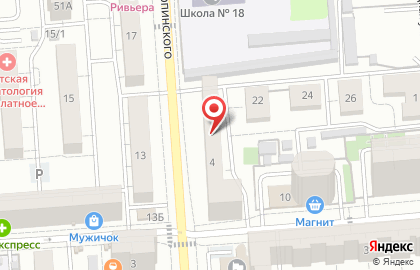 Бир Мир на улице Карпинского на карте