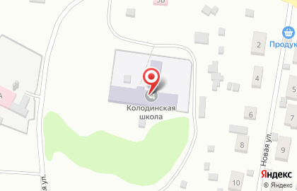 Основная общеобразовательная школа с. Колодинка на карте