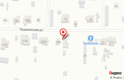 Компания Тюльпаны из Красноярска на карте