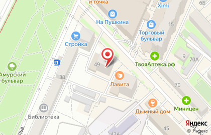 Канцелярская Крыса на Пушкина на карте