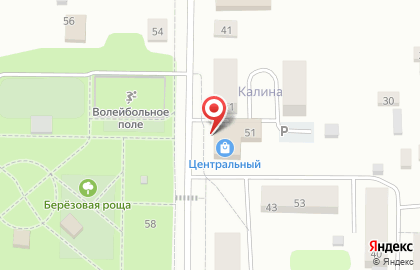 Винно-водочный магазин Бахус+ на Калинина на карте