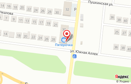 Магазин разливного пива на Южной аллее на карте
