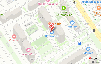 Торговая компания Оренбургзооветснаб на Салмышской улице на карте