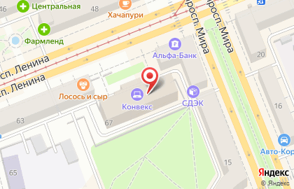 Центр проката лодок и снегоходов Зеленый мыс на проспекте Ленина на карте
