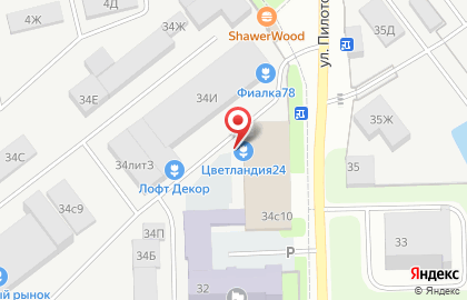 Магазин цветов Цветландия на Пилотов на карте