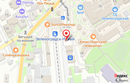 Зеленоградск Новый на карте