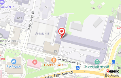 ДВФУ, Дальневосточный федеральный университет на Октябрьской улице на карте