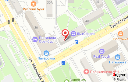 Меховое ателье Пушинка на Туркестанской улице на карте