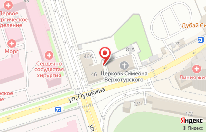 Агрофирма Виктория Пермь на улице Пушкина на карте