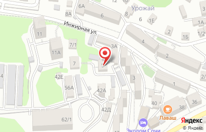 Сочи уберу проклятие. сглаз. порчу. Астральная защита. на карте