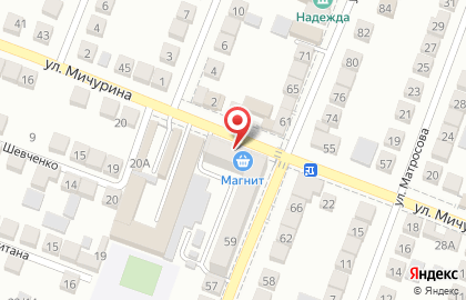 Продовольственный магазин Багира на улице Николаева на карте