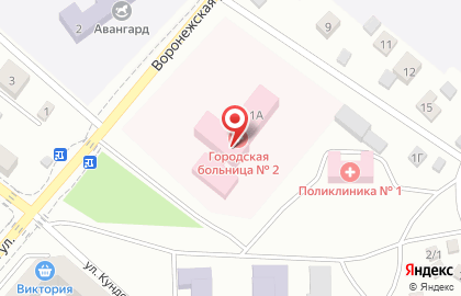 Городская больница №2 на Воронежской улице на карте