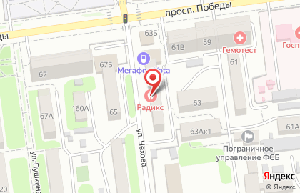 Клиника Радикс на проспекте Победы на карте