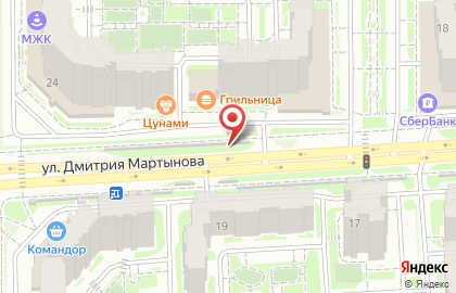 Рим на улице Дмитрия Мартынова на карте