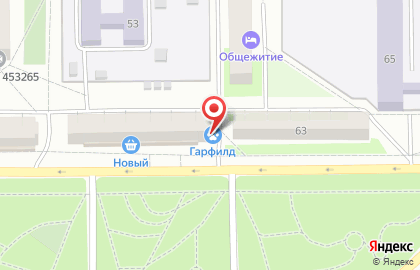 Зоомагазин Гарфилд в Салавате на карте