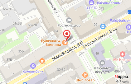 Зоомагазин на улице Малый П.С. на карте