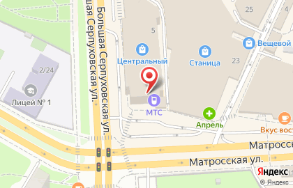 Зоомагазин ЧЕТЫРЕ ЛАПЫ на Большой Серпуховской улице в Подольске на карте