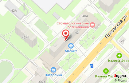 Вольный купец на Псковской улице на карте