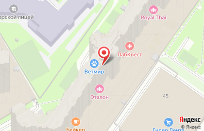 Выездной сервисный центр Apple iPhone на карте
