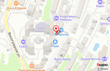 Регистрационная компания Новый регистратор на Виноградной улице на карте