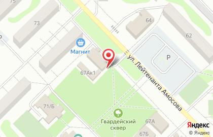 Продовольственный магазин на улице Лейтенанта Амосова на карте