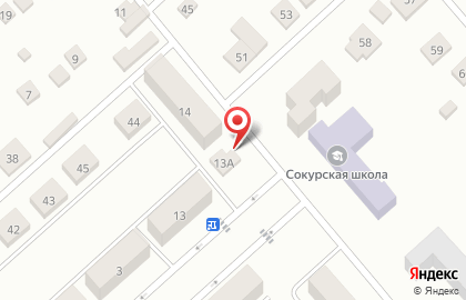 Продуктовый магазин, с. Сокур на карте