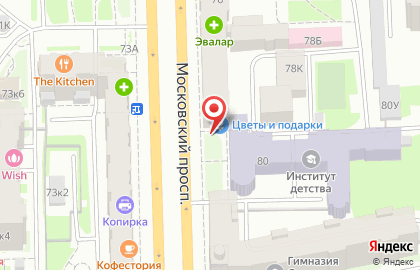 Товары для здоровья, сеть ортопедических салонов на Московском проспекте на карте