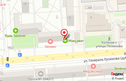 Зоомагазин и киоск Зверье мое на улице Генерала Лизюкова на карте