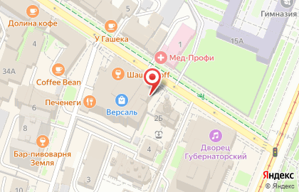 Тайм-кафе Speloe на Дворцовой улице на карте