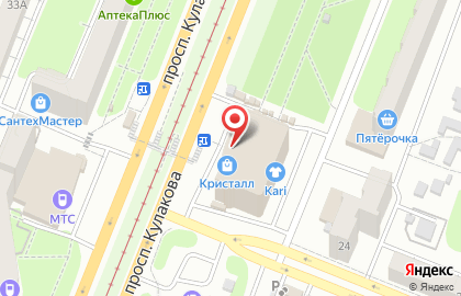 Киоск фастфудной продукции на проспекте Кулакова на карте