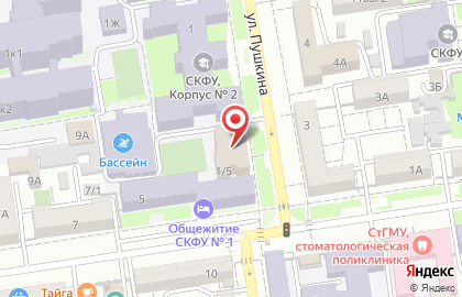 Флора Бургер на улице Пушкина на карте