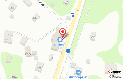 Луковка на Центральной улице на карте