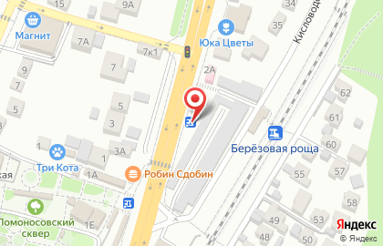 Сакура на улице Ломоносова на карте