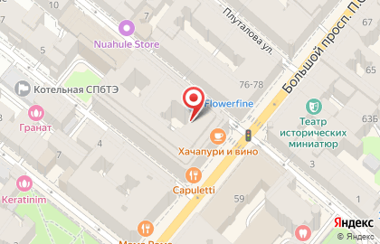 Две Палочки в Петроградском районе на карте