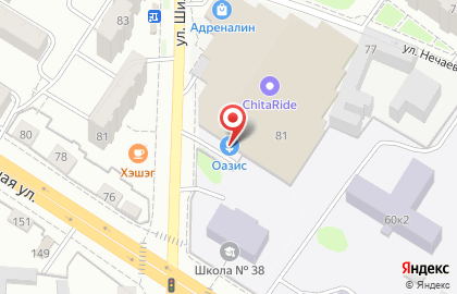 Флористический центр Оазис на улице Нечаева на карте