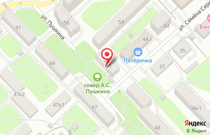 Анюта на улице Пушкина на карте