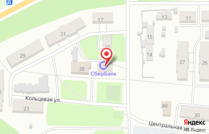 Страховая компания СберСтрахование на Центральной улице на карте