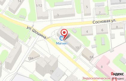Супермаркет Магнит на улице Шошина на карте