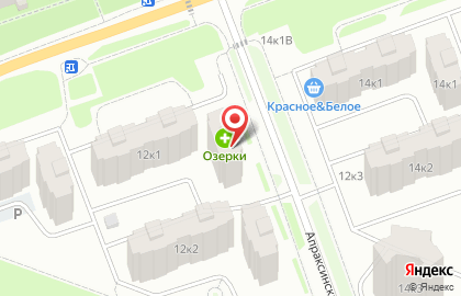Аптека Озерки в Санкт-Петербурге на карте