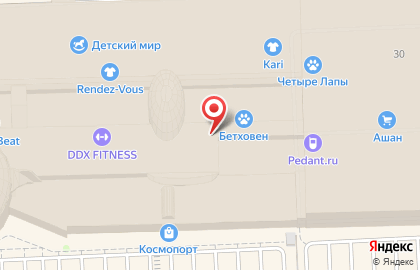 Магазин воздушных шаров и упаковки подарков Подари в Советском районе на карте