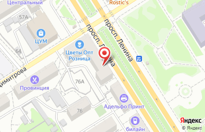 Туристическая компания Авиафлот на проспекте Ленина, 53 на карте