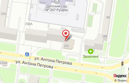 Салон цветов Магнолия на улице Антона Петрова на карте