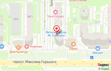 Магазин зоотоваров Кот и Пес на проспекте Максима Горького на карте