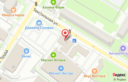 Центр экспресс-обслуживания Билайн в Пскове на карте